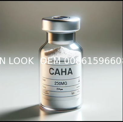 Top Grade Regon Look Hydroxyapatite raw material microspheres OEM for caha Filler