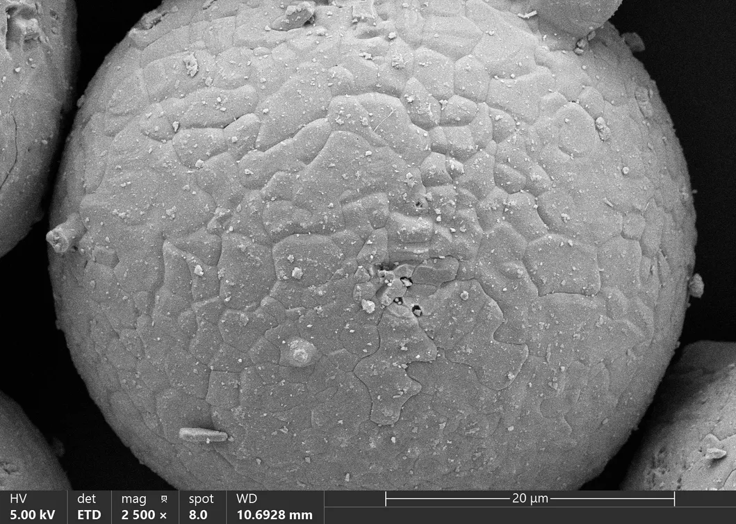 Top Grade Nano-Hydroxyapatite Nano Hydroxyapatite Powder Calcium Filler Hap Filler Caha Filler